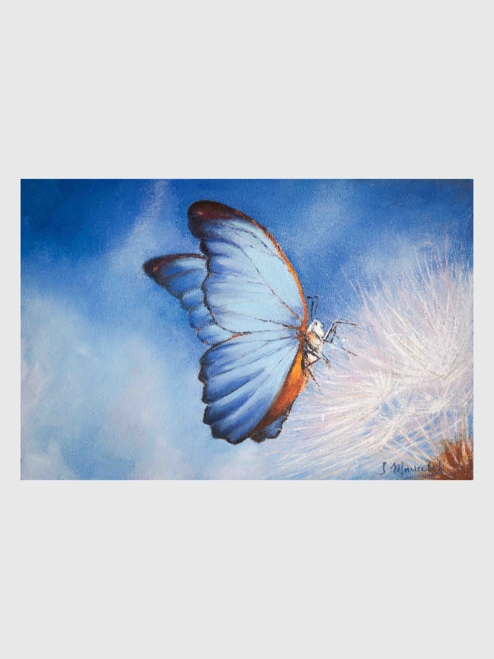Oil painting "Murphy" blue butterfly, on canvas  12" x 18"  SOLD BY THE ARTIST